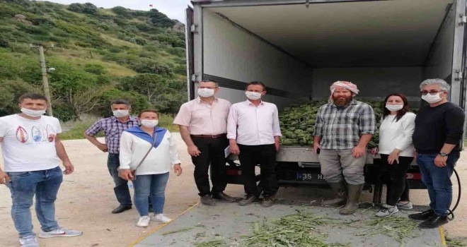 Gıda paketlerine bezelye ve enginar da eklendi