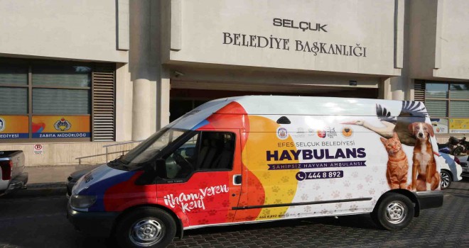Efes Selçuk'ta can dostların haybulansı hazır
