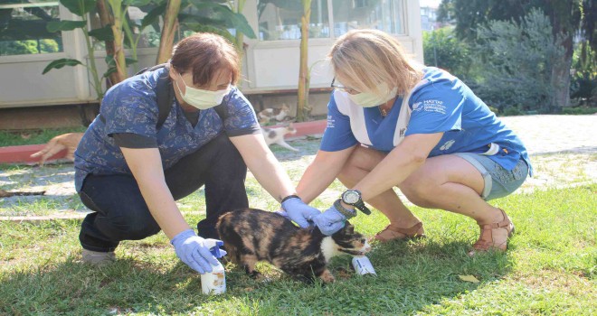 Karşıyaka’da can dostlara yerinde tedavi