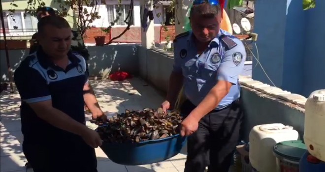 Bakteri yuvası midyeciye baskın