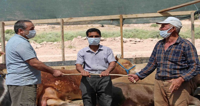 Karşıyaka Kurban Bayramı’na hazır