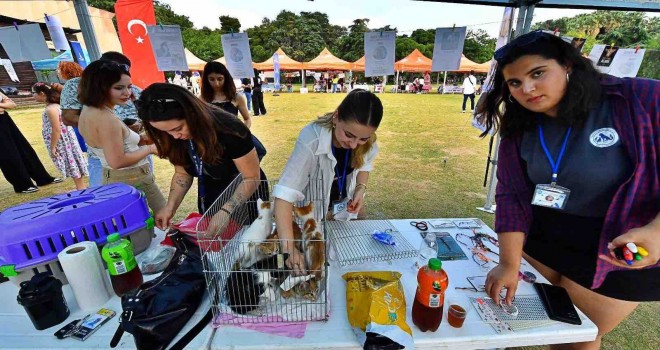 Sahiplendirme Şenliği'ne yoğun ilgi