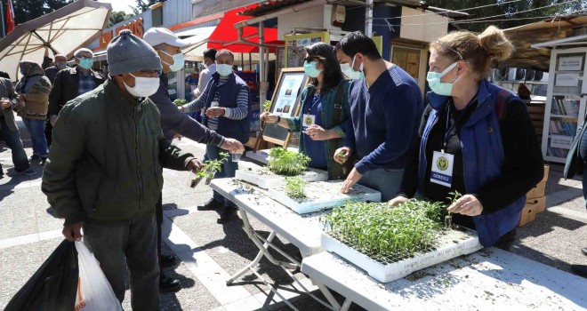 Buca’da balkon tarımı için 100 bin fide