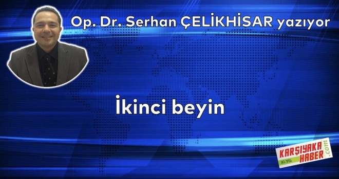 İkinci beyin