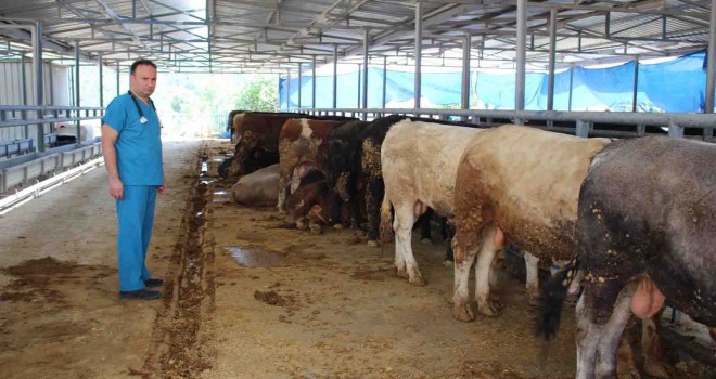 Karşıyaka Kurban Bayramı’na hazır