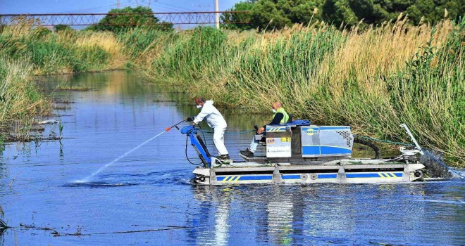 İzmir Büyükşehir'den sivrisinek ve haşere ile mücadele