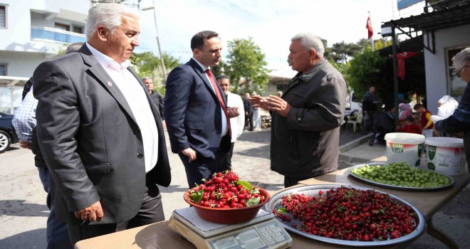 Bornova Tohum Takas Şenliği 15 Şubat’ta