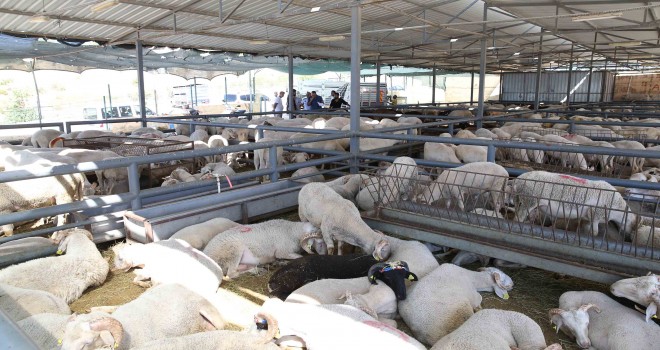 Karşıyaka bayrama hazır