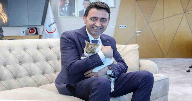 Başkan Önal, yaralı kediye sahip çıktı
