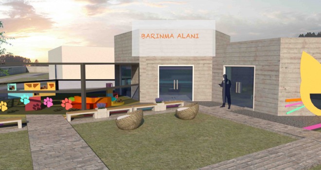 Konak’ta engelli kediler güvenle yaşayacak