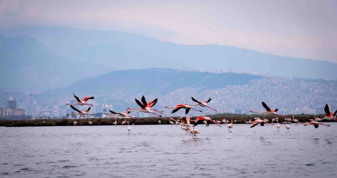 Doğa, kültür ve lezzet tutkunları yarıyıl tatilinde bu turlarda buluşacak