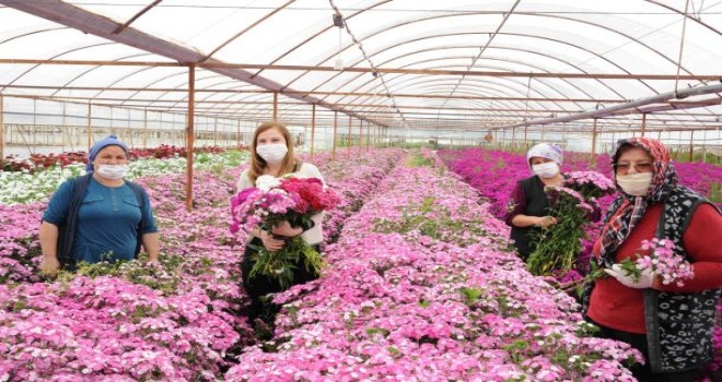 Hem anneler sevinecek  hem de çiçek üreticileri