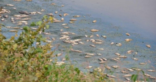 CHP’li Sertel sordu, Bakan açıkladı: Gediz Nehri sınıf atlayacak