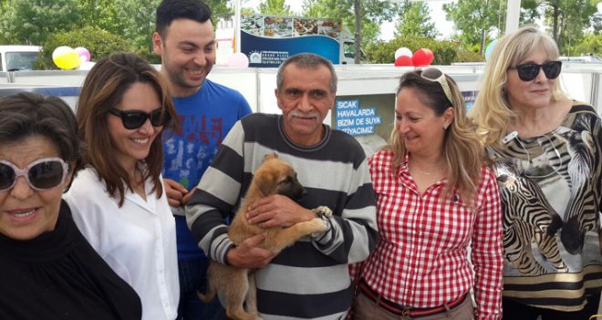 4 köpek yeni yuvasına kavuştu