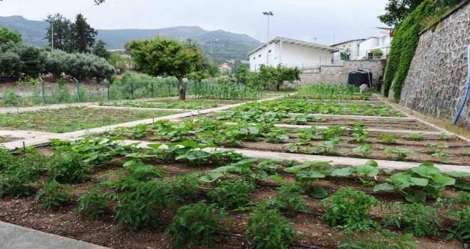 Karşıyaka Kentsel Gıda Strateji Belgesi hazır