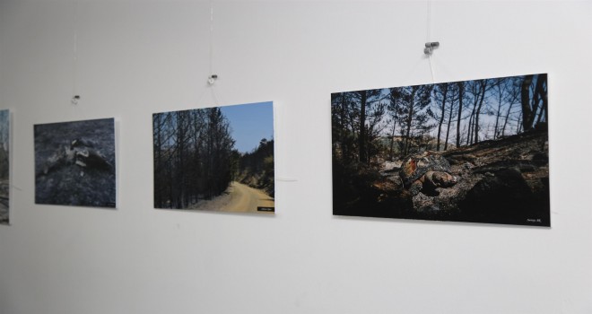 Kara, Kuru, Acı fotoğraflar Karabağlar’da