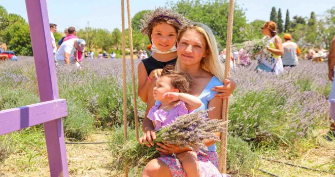 Seferihisar’da lavanta ve ekinezya hasadı şenlikle kutlanacak