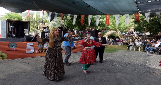 Demirdere 5.Erik ve Kiraz Şenliği Yapıldı