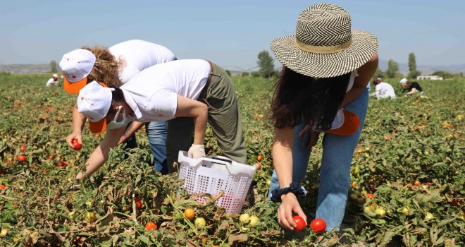 Kınık, Gönüllü Son Hasat Yayım Projesi etkinliğine ev sahipliği yaptı