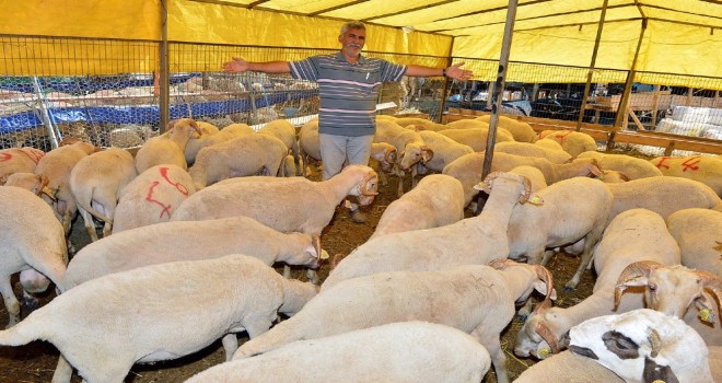 İzmir Kurban Bayramı’na hazır