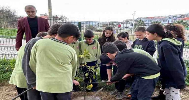 Çeşme’de okul bahçeleri meyve bahçesine dönüşüyor