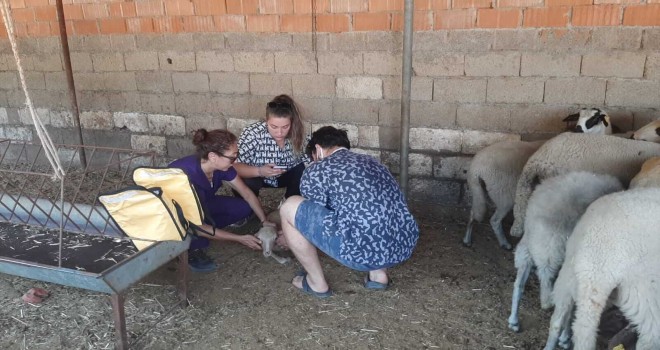 Bornova’dan Marmaris’e yardım eli