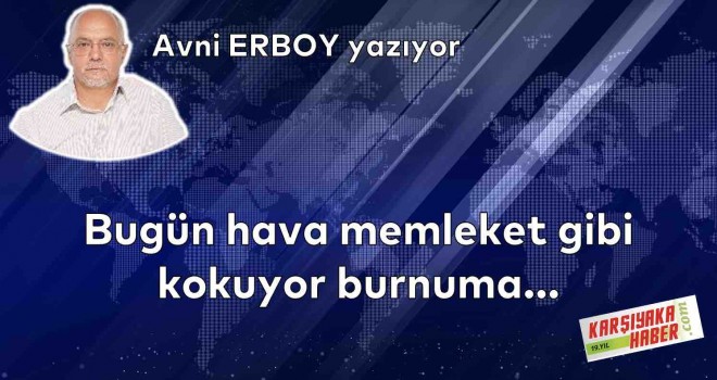 Bugün hava memleket gibi kokuyor burnuma…