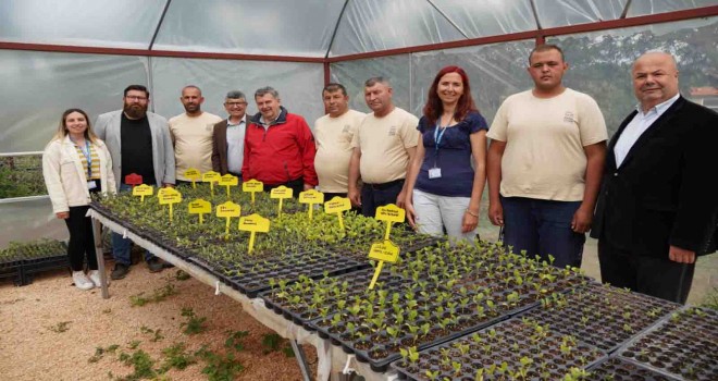 Başkan Oran yerel üreticilere fidan dağıttı