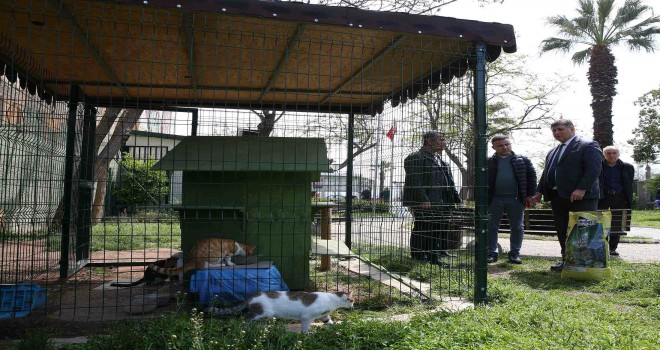 Karşıyaka Belediyesi'nden önemli çağrı: Sokaklara yemek artığı bırakmayalım