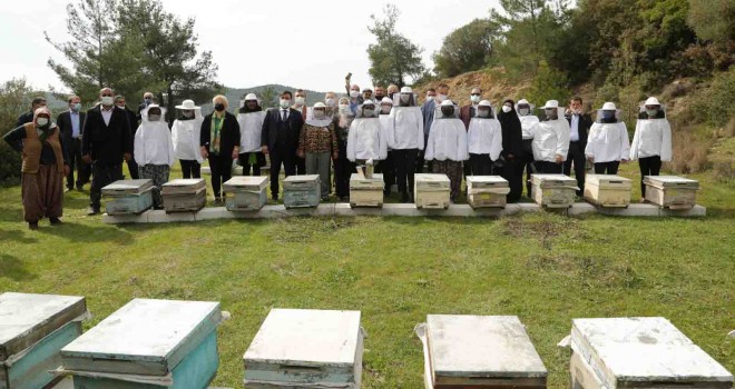 Seferihisar'dan arıcılıkta büyük atak