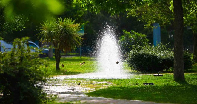 Bayraklı’nın yeşil oranı artıyor