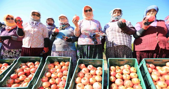 Nar Neşesi Şen Tanesi Şenliği Zeytinköy'de