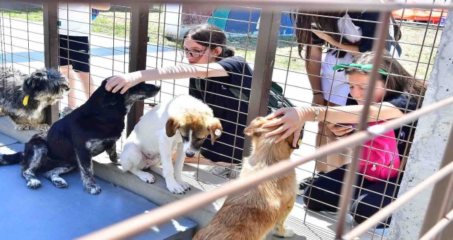 İzmirliler PAKOFEST’te patili dostlarla buluştu