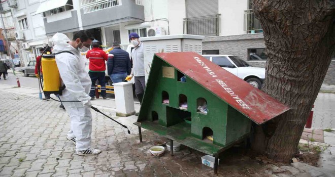 Karşıyaka Belediyesi’nden can dostlar için temizlik çalışması