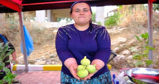 Menemen'de Bozalan İncir Festivali heyecanı yaşanacak