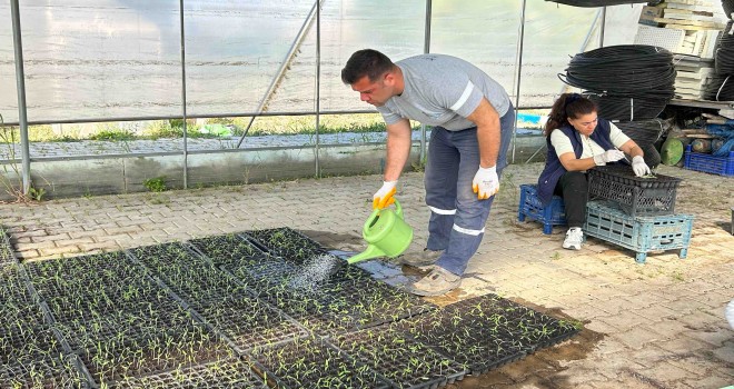 Seferihisar Belediyesi Tohum Takas Şenliği’ne hazırlanıyor