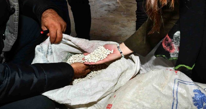Yerli kuru fasulyeyle çiftçiye 1,5 milyon liralık destek