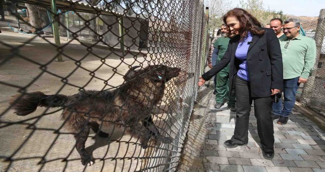 Karşıyaka yeni hayvan yaşam merkezine kavuşuyor