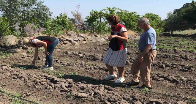 Karşıyaka İlçe Tarım'dan Yamanlar'da kontrol