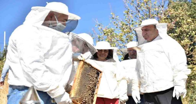 Bornova’da bal sağımı başladı