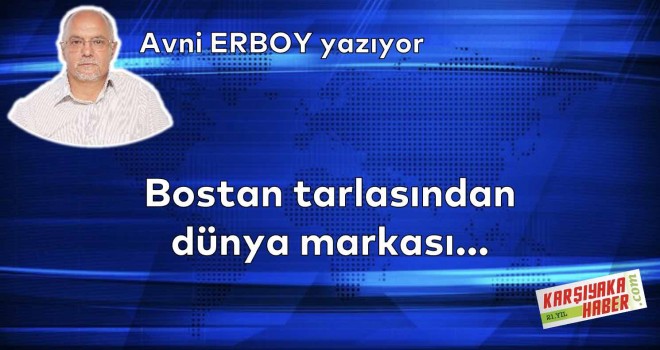 Bostan tarlasından dünya markası...