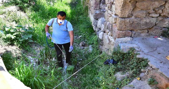 İzmir’de sivrisineklere karşı etkin mücadele