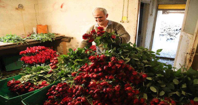 Sevgililerin Gülleri Menderes’ten