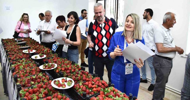 Emiralem Çilek Festivali'ne rekor katılım