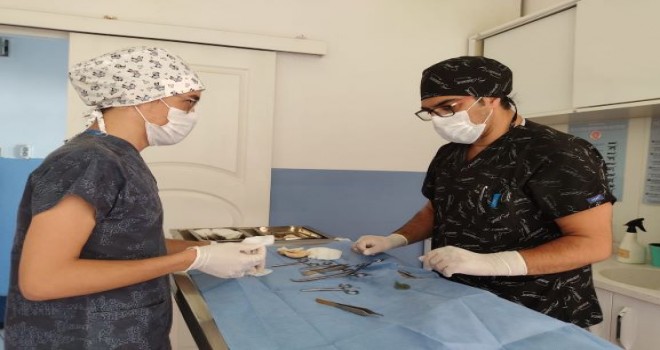 Narlıdere’de can dostlar sahipsiz değil