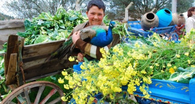 7. Alaçatı Ot Festivali'nin tarihi belli oldu