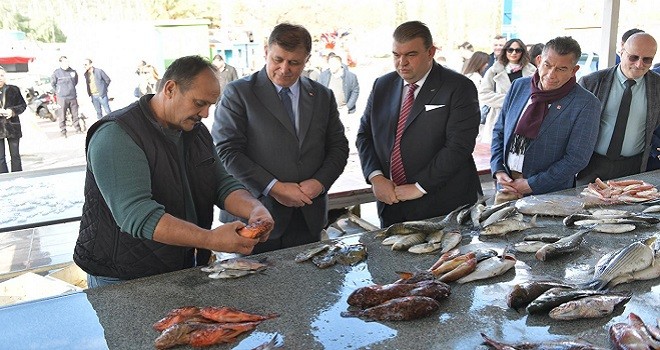Mezattan açık arttırma ile fener balığı aldı...