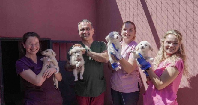 Karşıyaka’nın can dostlar için yol haritası hazır