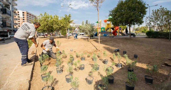 Karşıyaka’da yeşil seferberlik devam ediyor