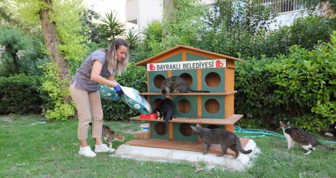 Bayraklı’da can dostlara mama ve su desteği